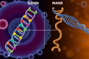 Pengertian DNA dan RNA: Panduan Lengkap Materi Genetik dalam Sel